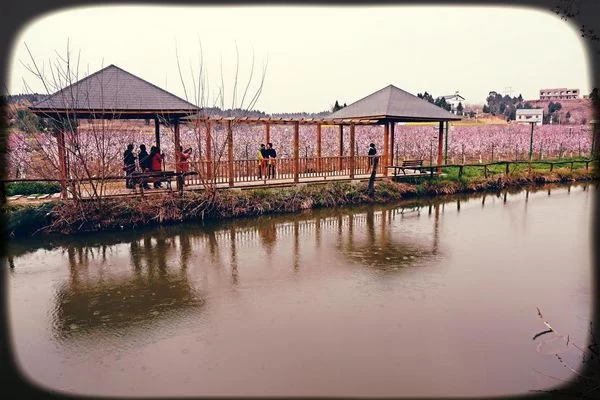 离成都仅2小时车程,这里竟藏着个小桃源!(图14) 离成都仅2小时车程,这里竟藏着个小桃源!(图14)