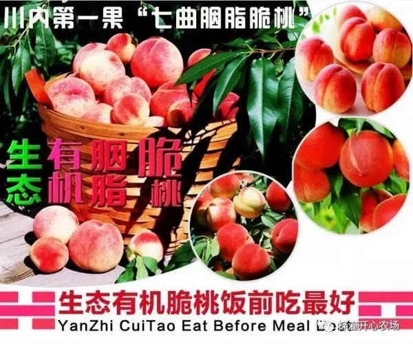 离成都仅2小时车程,这里竟藏着个小桃源!(图22) 离成都仅2小时车程,这里竟藏着个小桃源!(图22)