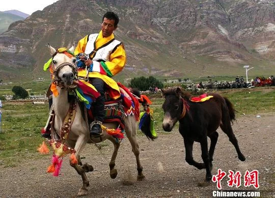 西藏“药王故里”宇妥沟打响人文旅游品牌(图1)