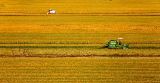 中央定了!2018年将重点抓这些大事 关乎你的生活(图3) 中央定了!2018年将重点抓这些大事 关乎你的生活(图3)