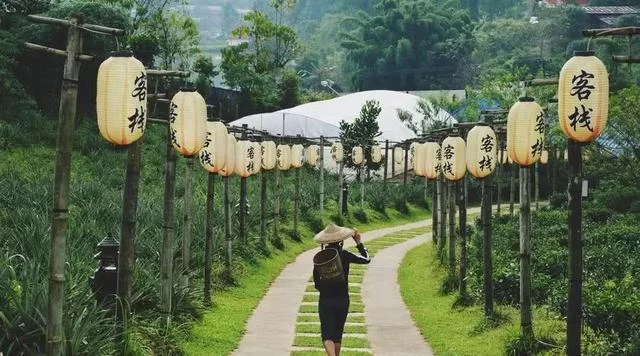 乡村振兴,振兴的都是什么?看了这篇文章你就会懂了!(图2) 乡村振兴,振兴的都是什么?看了这篇文章你就会懂了!(图2)