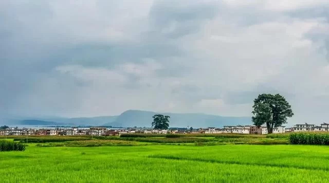 乡村振兴,振兴的都是什么?看了这篇文章你就会懂了!(图1) 乡村振兴,振兴的都是什么?看了这篇文章你就会懂了!(图1)