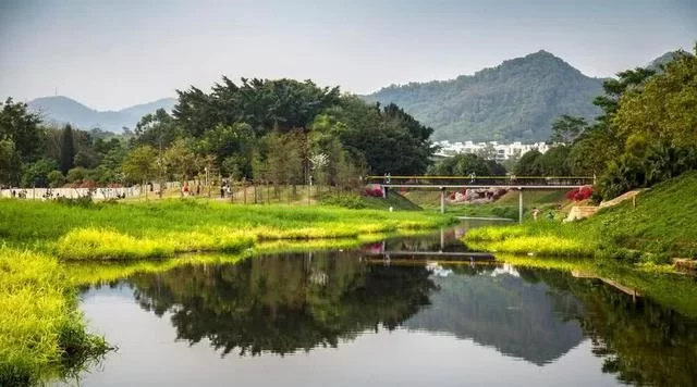 乡村振兴,振兴的都是什么?看了这篇文章你就会懂了!(图3) 乡村振兴,振兴的都是什么?看了这篇文章你就会懂了!(图3)