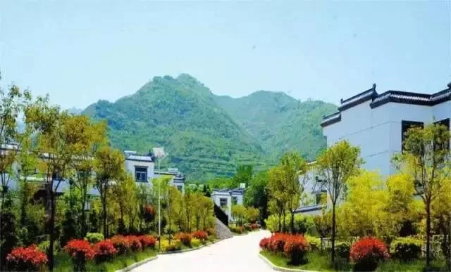 王征兵：问答乡村振兴：“谁来兴”“兴什么”“如何兴”？(图2)