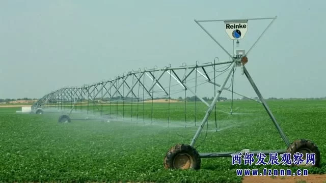 陕西榆阳:新型农业经营主体助力全区农业产业发展(图3) 陕西榆阳:新型农业经营主体助力全区农业产业发展(图3)