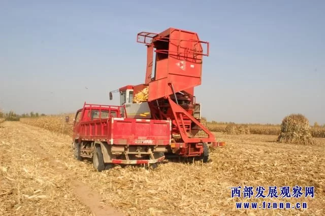 陕西榆阳:新型农业经营主体助力全区农业产业发展(图2) 陕西榆阳:新型农业经营主体助力全区农业产业发展(图2)