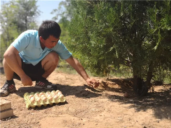 陕西榆阳:创新机制抓脱贫 开拓新路奔小康(图4) 陕西榆阳:创新机制抓脱贫 开拓新路奔小康(图4)