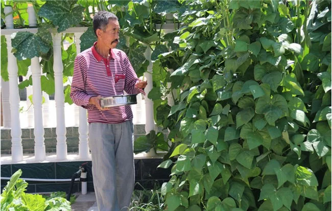 陕西榆阳:创新机制抓脱贫 开拓新路奔小康(图1) 陕西榆阳:创新机制抓脱贫 开拓新路奔小康(图1)