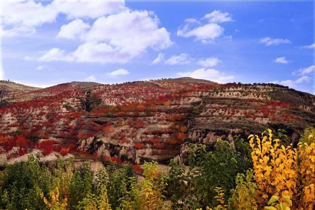 陕西榆阳:推进生态文明建设 打造“绿色榆阳”新名片(图3) 陕西榆阳:推进生态文明建设 打造“绿色榆阳”新名片(图3)