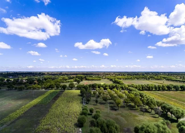 陕西榆阳:推进生态文明建设 打造“绿色榆阳”新名片(图2) 陕西榆阳:推进生态文明建设 打造“绿色榆阳”新名片(图2)