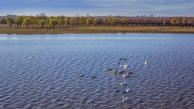 陕西榆阳:推进生态文明建设 打造“绿色榆阳”新名片(图1) 陕西榆阳:推进生态文明建设 打造“绿色榆阳”新名片(图1)