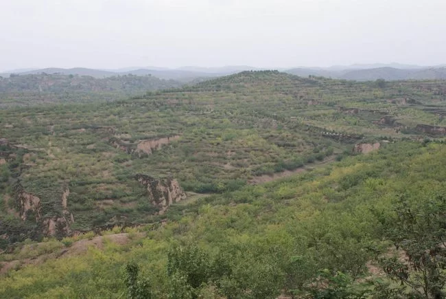 陕西榆阳:推进生态文明建设 打造“绿色榆阳”新名片(图4) 陕西榆阳:推进生态文明建设 打造“绿色榆阳”新名片(图4)