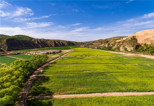 陕北榆阳:打造文化旅游精品 促进全域旅游发展(图4) 陕北榆阳:打造文化旅游精品 促进全域旅游发展(图4)