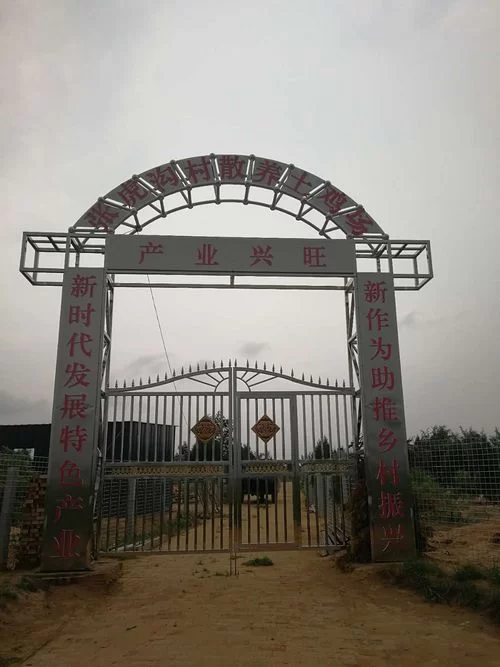 陕北榆阳麻黄梁镇:打实乡村振兴“厚底子” 拓宽脱贫致富“新路子”(图1) 陕北榆阳麻黄梁镇:打实乡村振兴“厚底子” 拓宽脱贫致富“新路子”(图1)