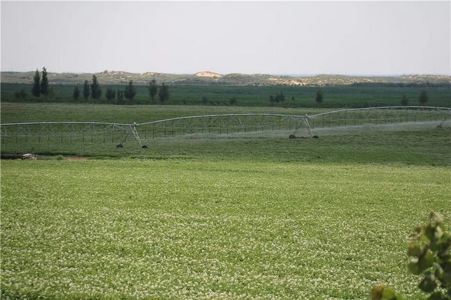 陕西榆阳:“三变”改革变出富民强村新天地(图3) 陕西榆阳:“三变”改革变出富民强村新天地(图3)