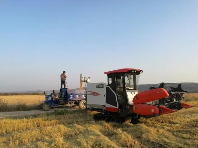 “农”墨重彩 大地生金——陕西榆林农业现代化水平全面提升(图2) “农”墨重彩 大地生金——陕西榆林农业现代化水平全面提升(图2)