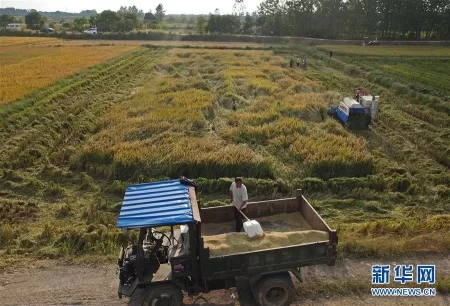 跟党一起创业,从改革开放40年看中国砥柱(图2) 跟党一起创业,从改革开放40年看中国砥柱(图2)