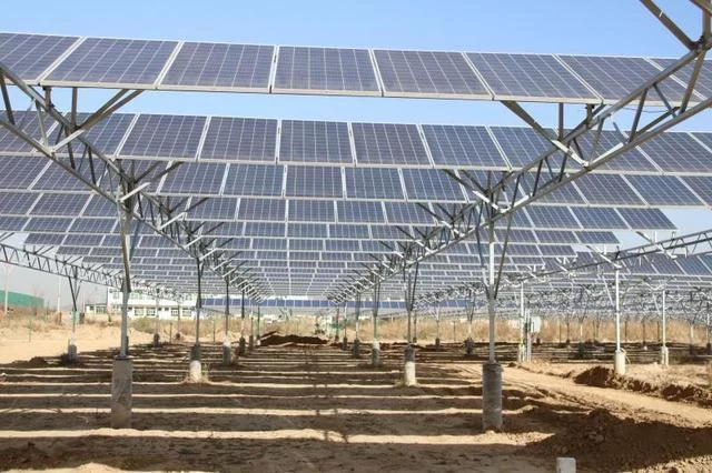 汇报写在大地上 成果送进百姓家——陕西米脂县四大特色产业助力脱贫攻坚(图5)