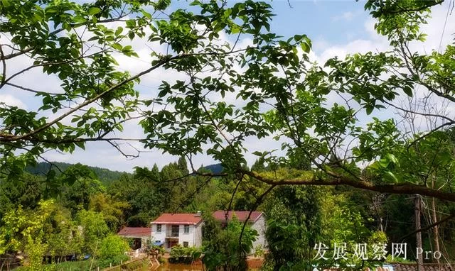 农家四月春正忙(图7)