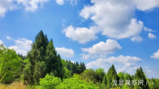 农家四月春正忙(图3)