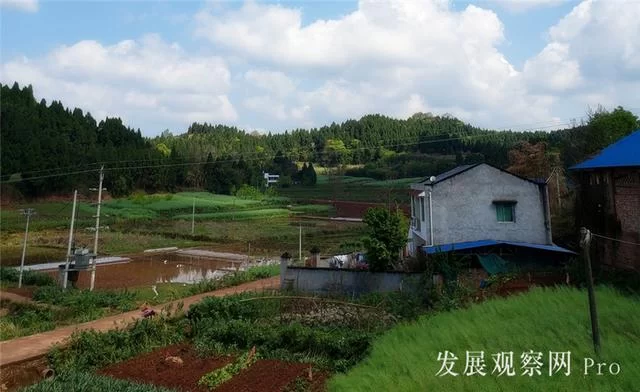 农家四月春正忙(图1)