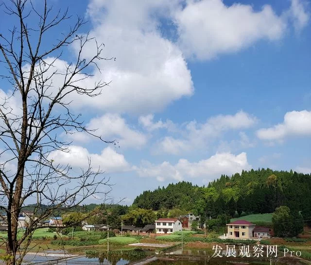 农家四月春正忙(图2)