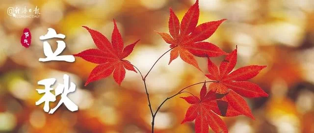 立秋不是秋,今秋尤不同(图1) 立秋不是秋,今秋尤不同(图1)