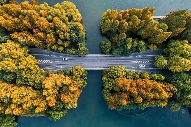 立秋不是秋,今秋尤不同(图6) 立秋不是秋,今秋尤不同(图6)