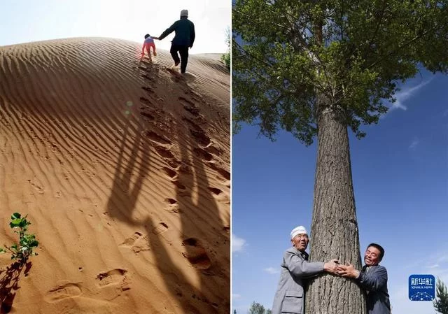 新华全媒+|榆林是个好地方(图3) 新华全媒+|榆林是个好地方(图3)