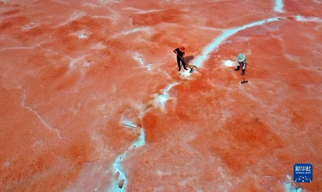 新华全媒+|榆林是个好地方(图7) 新华全媒+|榆林是个好地方(图7)