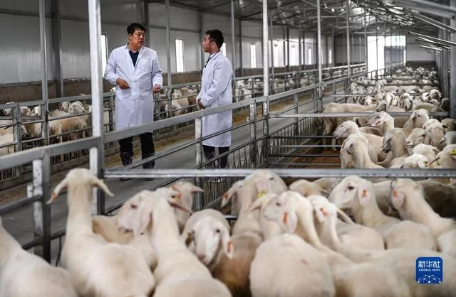 新华全媒+|榆林是个好地方(图10) 新华全媒+|榆林是个好地方(图10)