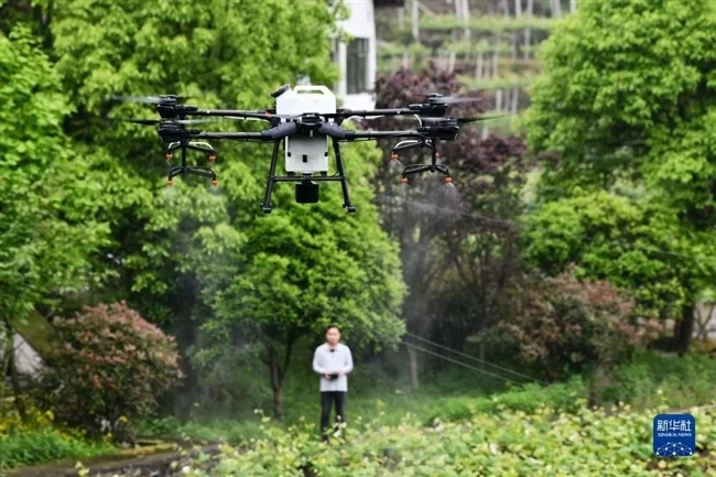 网跨千年，村中有“数”——“数字乡村”赋能西部发展观察(图3)