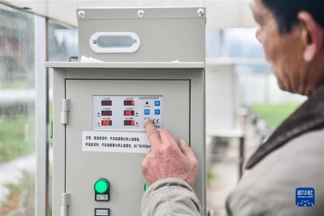 网跨千年，村中有“数”——“数字乡村”赋能西部发展观察(图2)