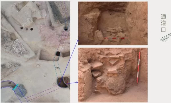 五千年中华文明再添实证！4项重要考古成果公布→(图3)