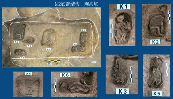 五千年中华文明再添实证！4项重要考古成果公布→(图14)