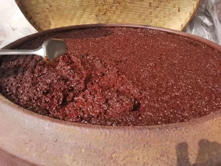 国内生态酿造大师张仲安申报“无麸质豌豆酱油的制法”发明专利(图4)