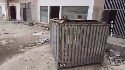 拍案丨起底缅北魏家、刘家“罪恶帝国”(图2)