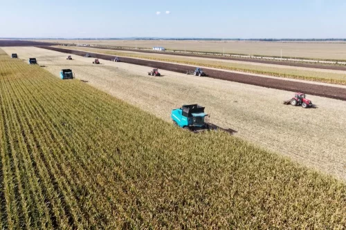 深刻揭示新时代发展规律——习近平经济思想引领新时代经济工作述评之二(图9)