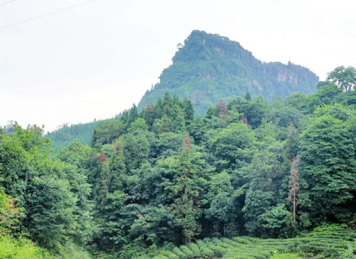 宜宾天宫山石匾现“石达开” 再添渡江之谜(图)(图1)