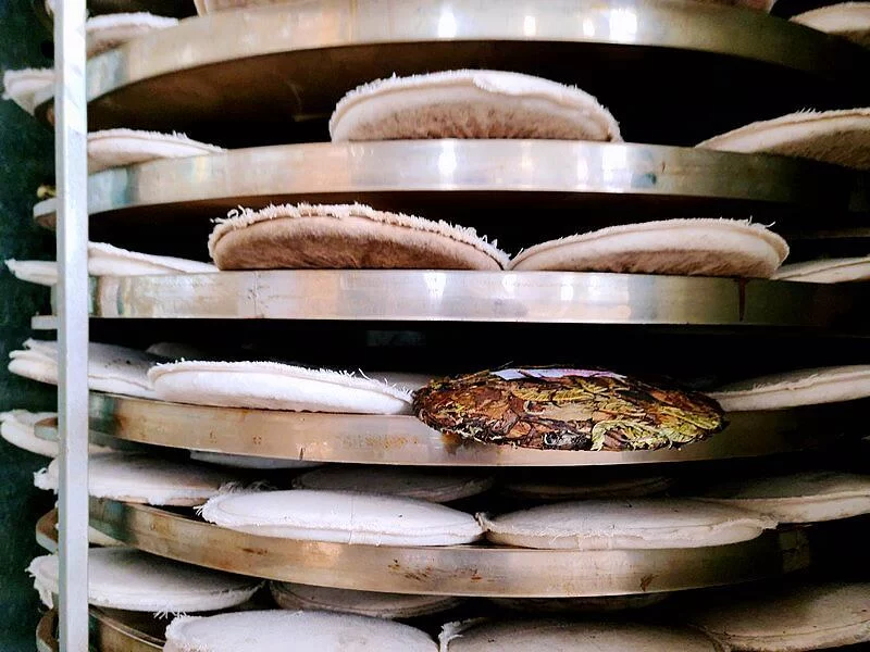 传承文化发展事业，“云中蜀山”领跑区域药茶研发(图4)