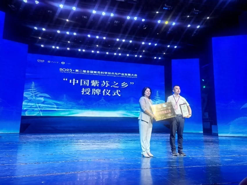 京蒙协作结硕果 鄂伦春获批“中国紫苏之乡”