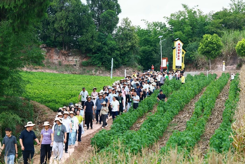 会里会外｜从会场到田野：一场国际大会的“四川答卷”(图2)