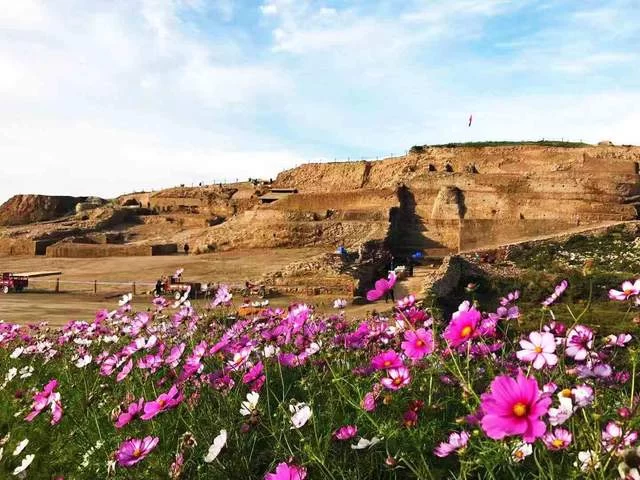 陕西神木:累累硕果满枝头 奋楫笃行再出发(图3) 陕西神木:累累硕果满枝头 奋楫笃行再出发(图3)