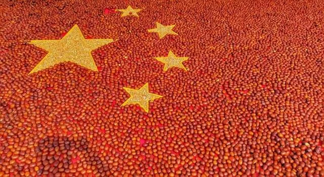 陕西神木:累累硕果满枝头 奋楫笃行再出发(图2) 陕西神木:累累硕果满枝头 奋楫笃行再出发(图2)