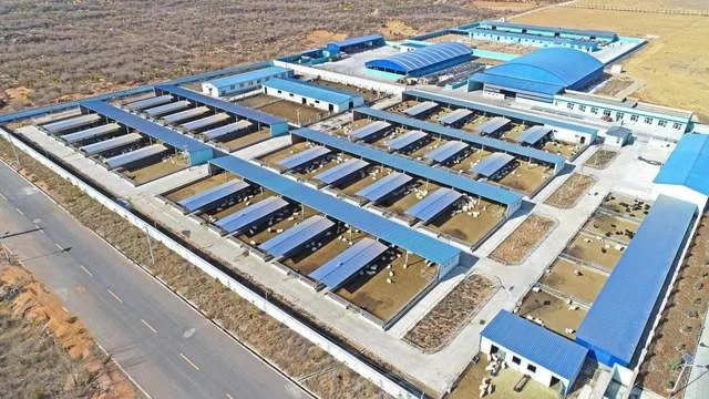 陕西神木:累累硕果满枝头 奋楫笃行再出发(图5) 陕西神木:累累硕果满枝头 奋楫笃行再出发(图5)