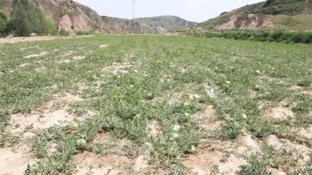 陕西神木：办好群众事 当好“服务员”(图1)