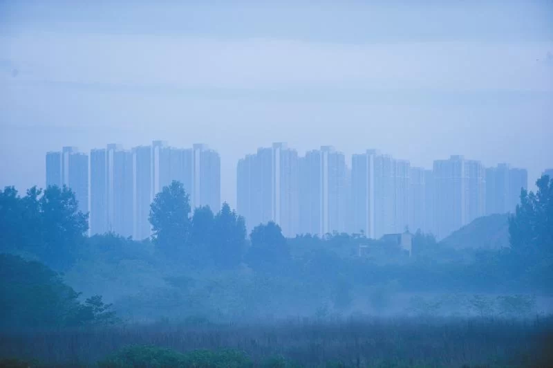 又闻端午艾草香 成都老人:辛苦一年只卖两天(图4) 又闻端午艾草香 成都老人:辛苦一年只卖两天(图4)