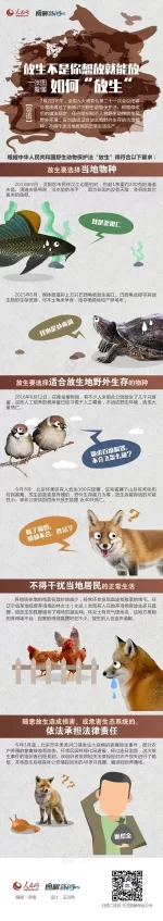 ＂放生＂不是你想放就能放 一张图看懂如何依法＂放生＂(图1)