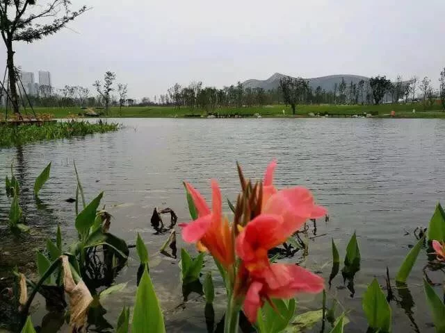 成都版“纽约中央公园”即将开园(图2)