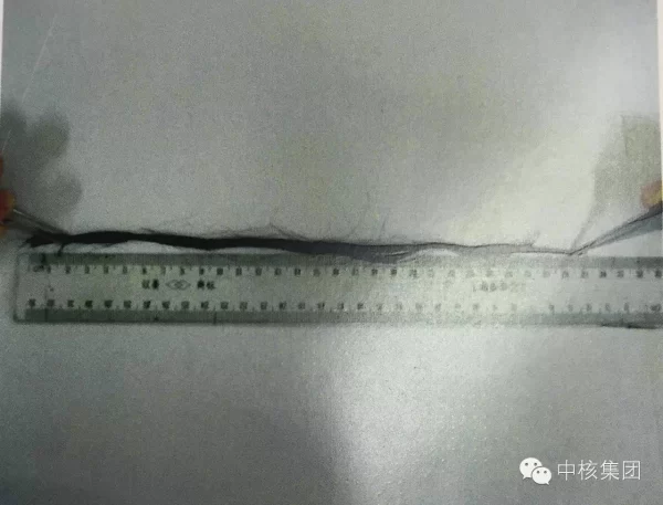 这项技术中国独有 为核不扩散作出新贡献(图5) 这项技术中国独有 为核不扩散作出新贡献(图5)